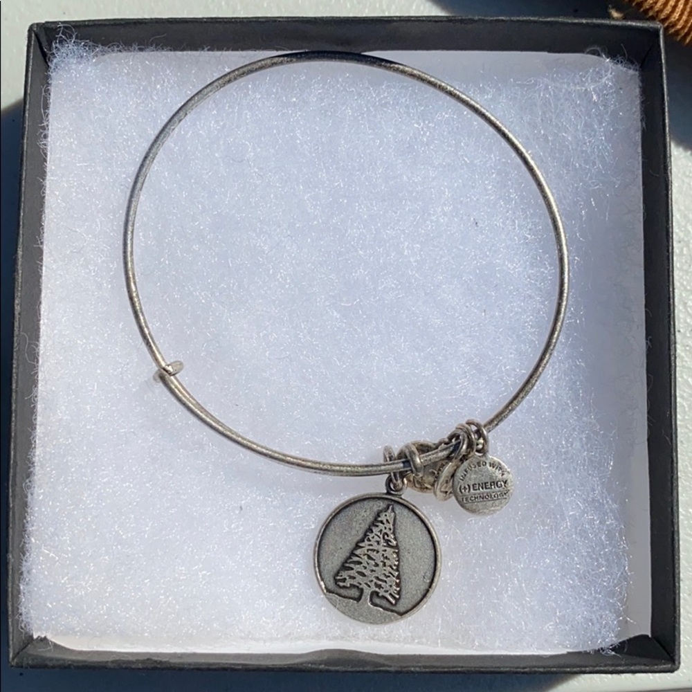 Alex and Ani bracelet